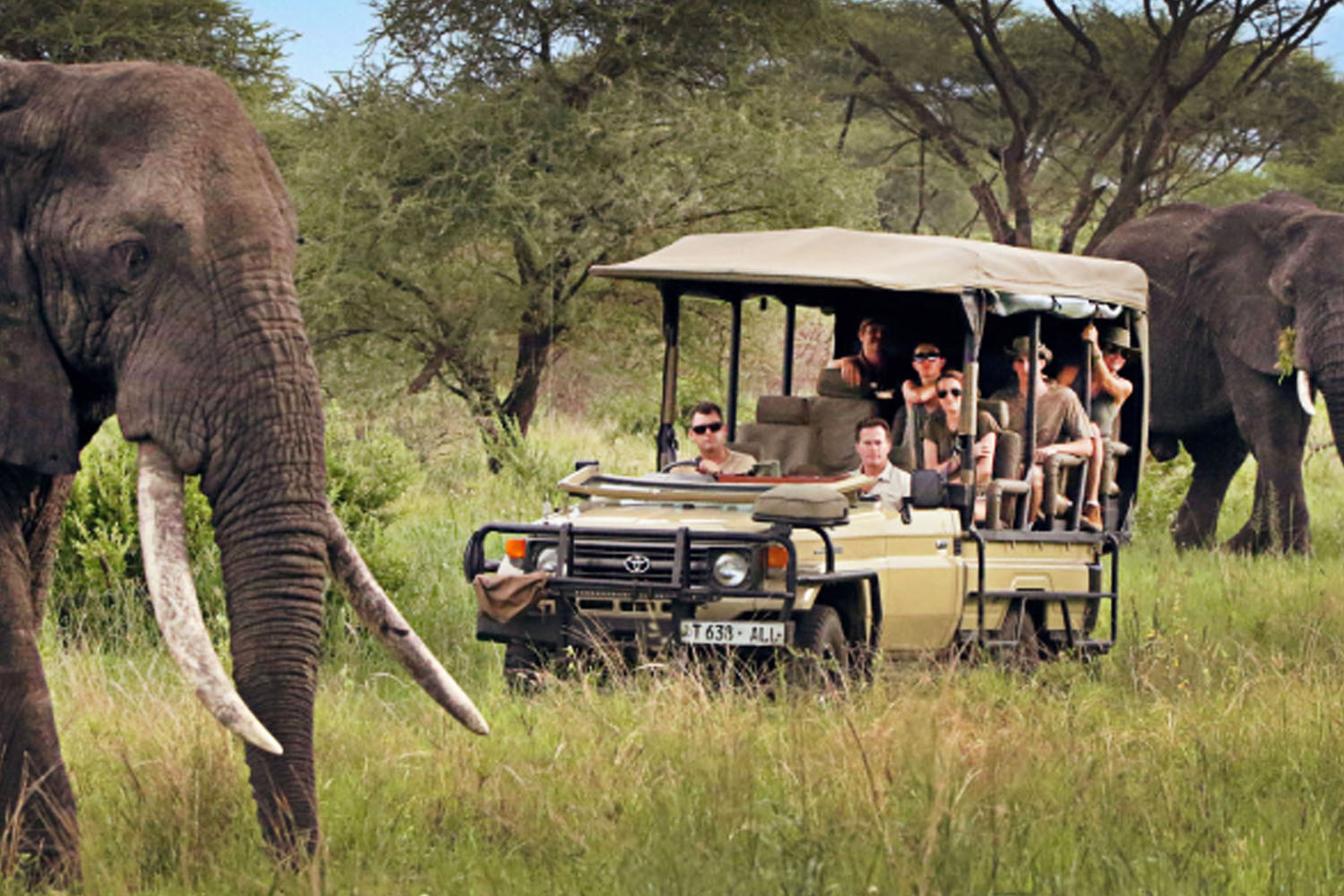 Uganda Safaris: A Wonderland of Untamed Beauty